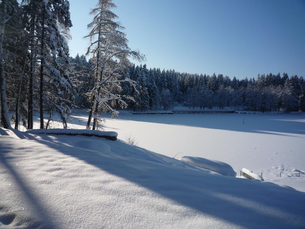 Hotel Waldsee Lindenberg im Allgäu Exterior foto