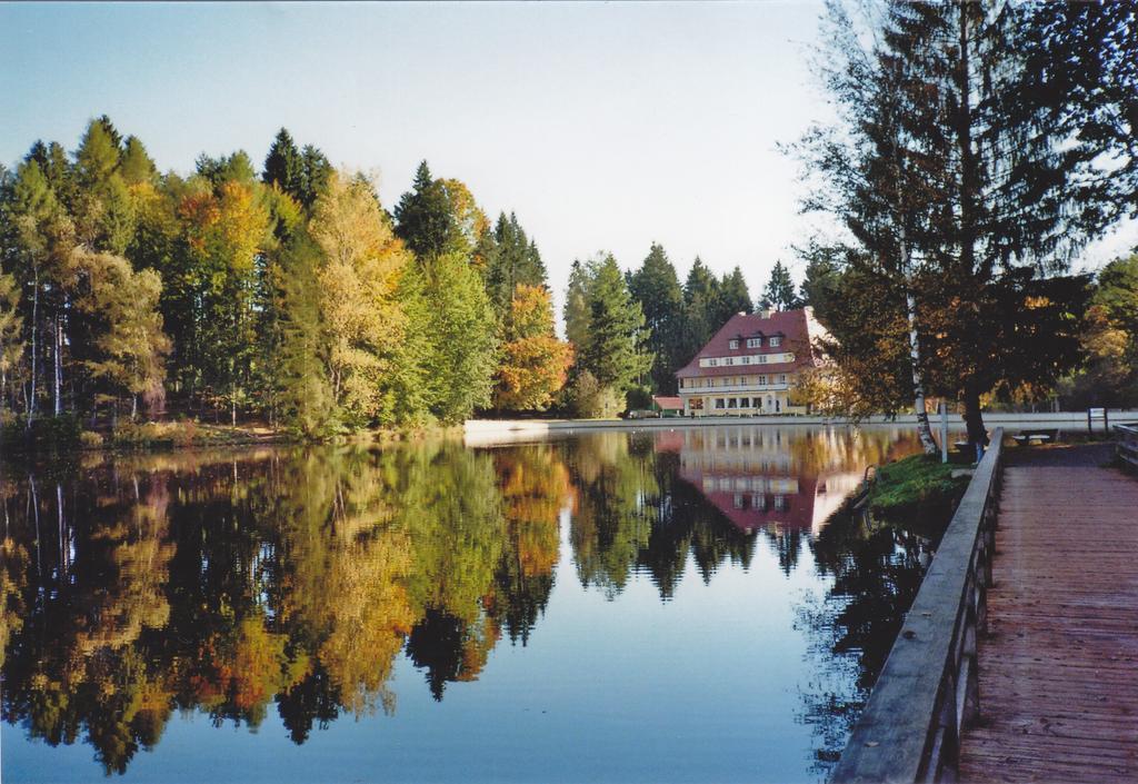 Hotel Waldsee Lindenberg im Allgäu Exterior foto